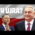 Jogállami diktatúra kell!