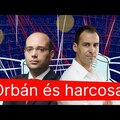 Elbizonytalanodás