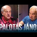 Palotapincsi-mesterterv
