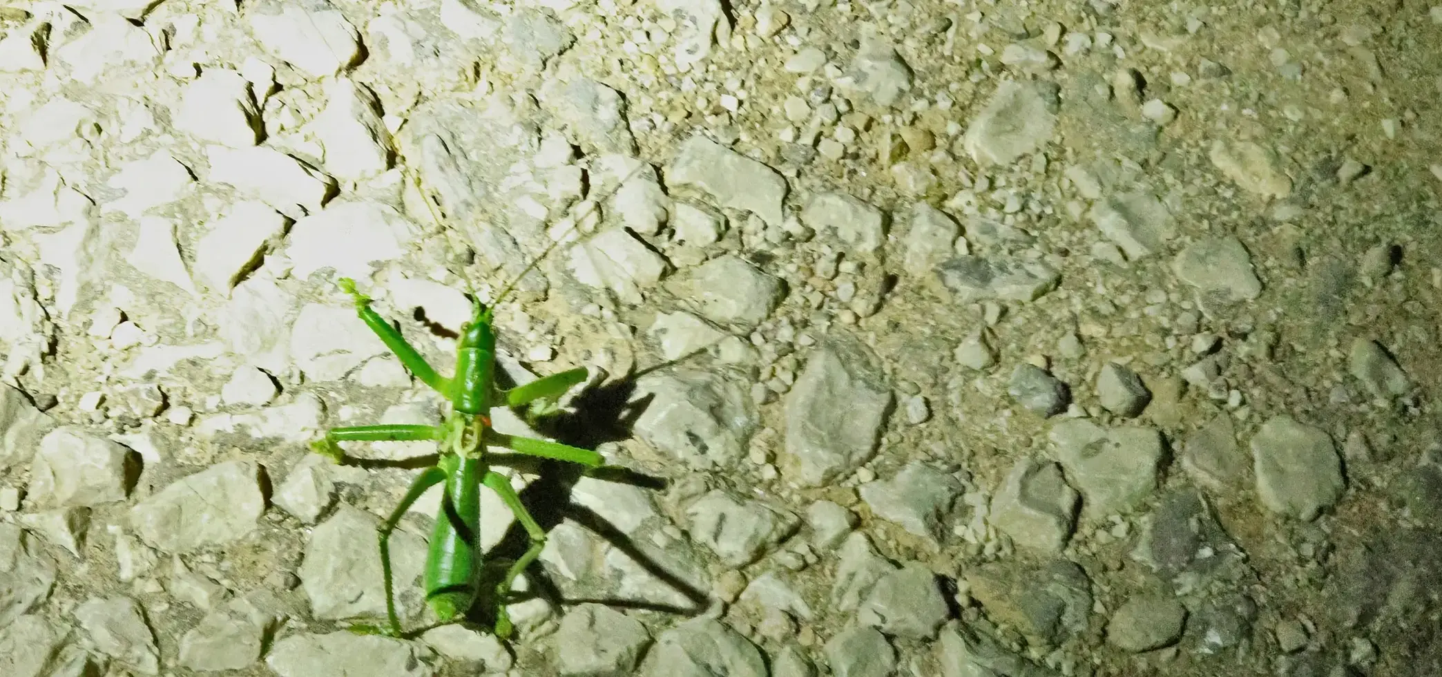 024b6505c.webp