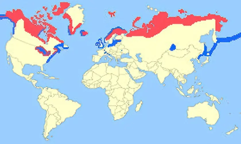 ltdmapben.webp