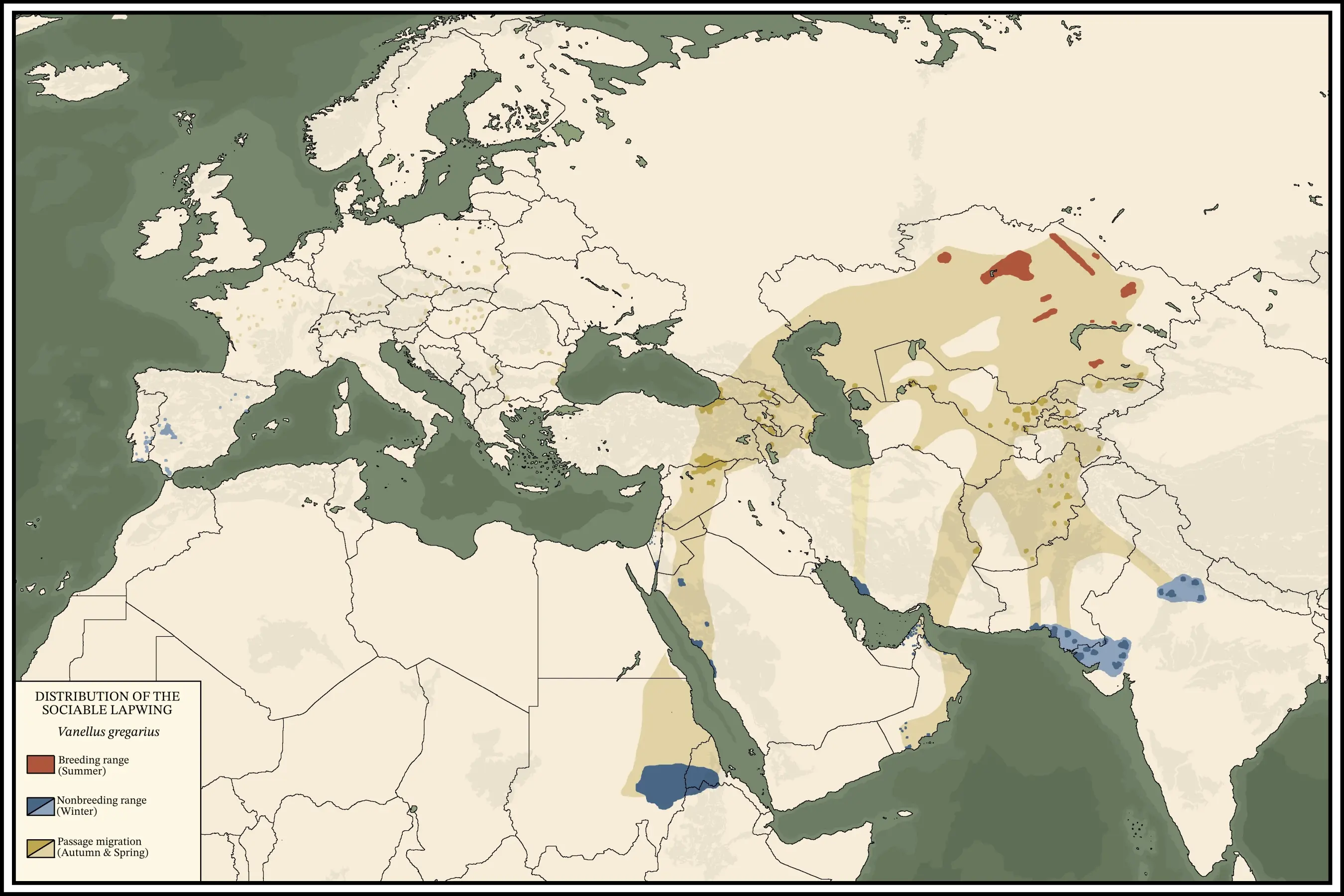 vanellus_gregarius_range_map_2.webp