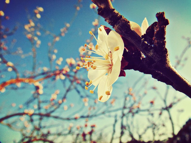 Itt a tavasz