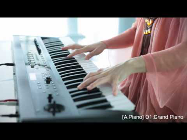 Várjuk a bébit! - KORG PS60