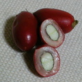 Csodagyümi