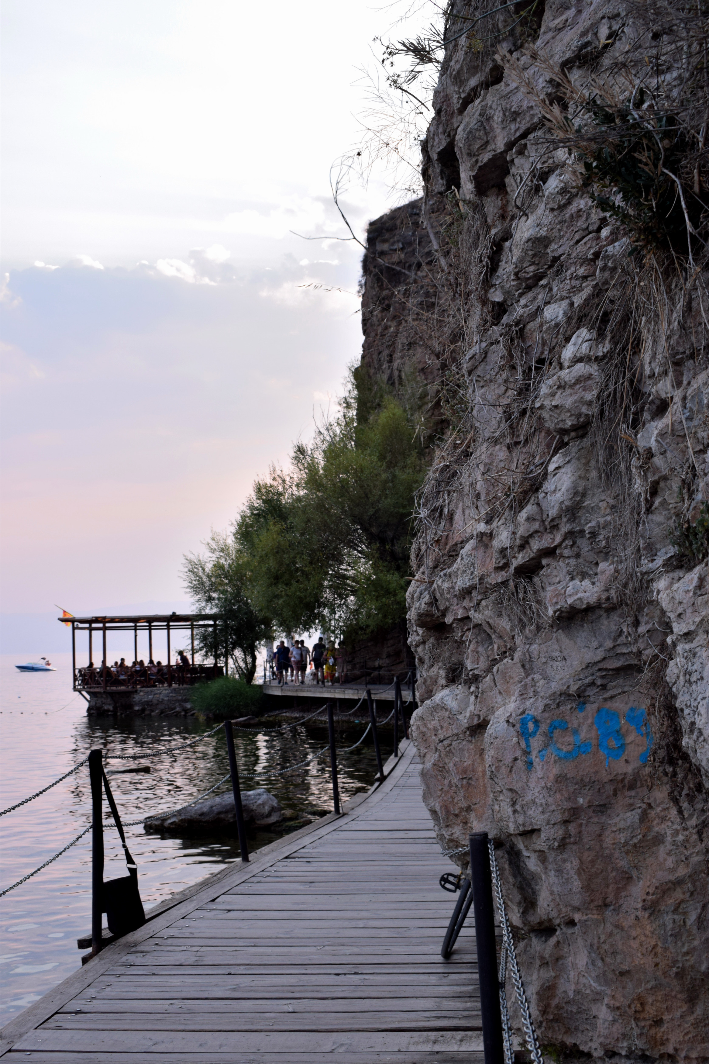 A stég mellett húzódó sziklafal is nagyon szép, érdemes kicsit jobban megnézni a rajta élő növényeket is. <br />A tó nagyon gyorsan mélyül, és Ohrid környékén -legalábbis ahol én jártam- kisebb-nagyobb kövecskék vannak az alján. Érdemes valamilyen tengerjáró cipőt vinni a fürdéshez. Ugyanakkor a műstégek itt általában zsúfolásig tele vannak, így nem a legjobb élmény itt fürdeni. 