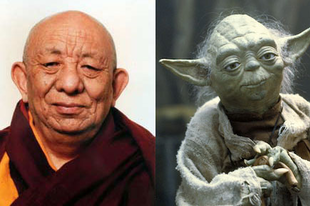 Erről a buddhista szerzetesről mintázták volna Yoda-mestert?