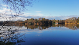 Virginia Water- In the footsteps of Harry Potter I.