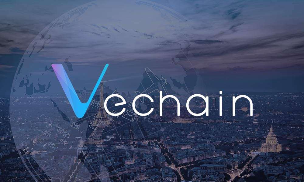 vechain.jpeg