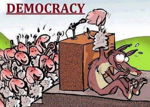 demokracia.jpg