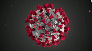 koronavirus.jpg