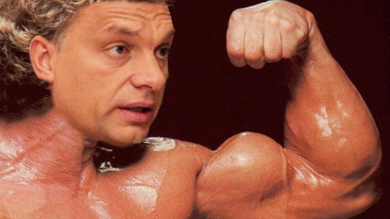 orban_izom.jpg