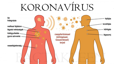 Fel vagyunk készülve a koronavírusra?