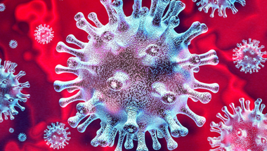 Hogyan viselkednek a szalonok a koronavírus megjelenését követően?