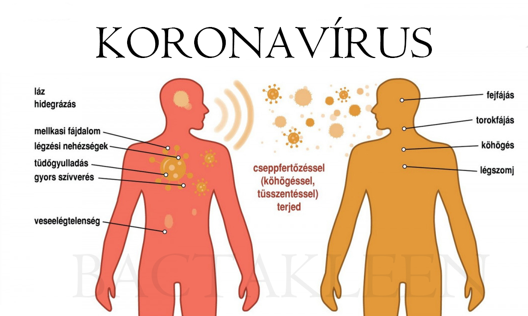 koronavirus-bactakleen-mezotur.jpg