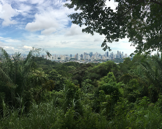 Panama City, Costa Rica, Honduras. Praktikus úti infók.