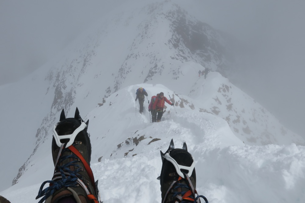 A Vadcsúcs meghódítása - Wildspitze, 3770 m