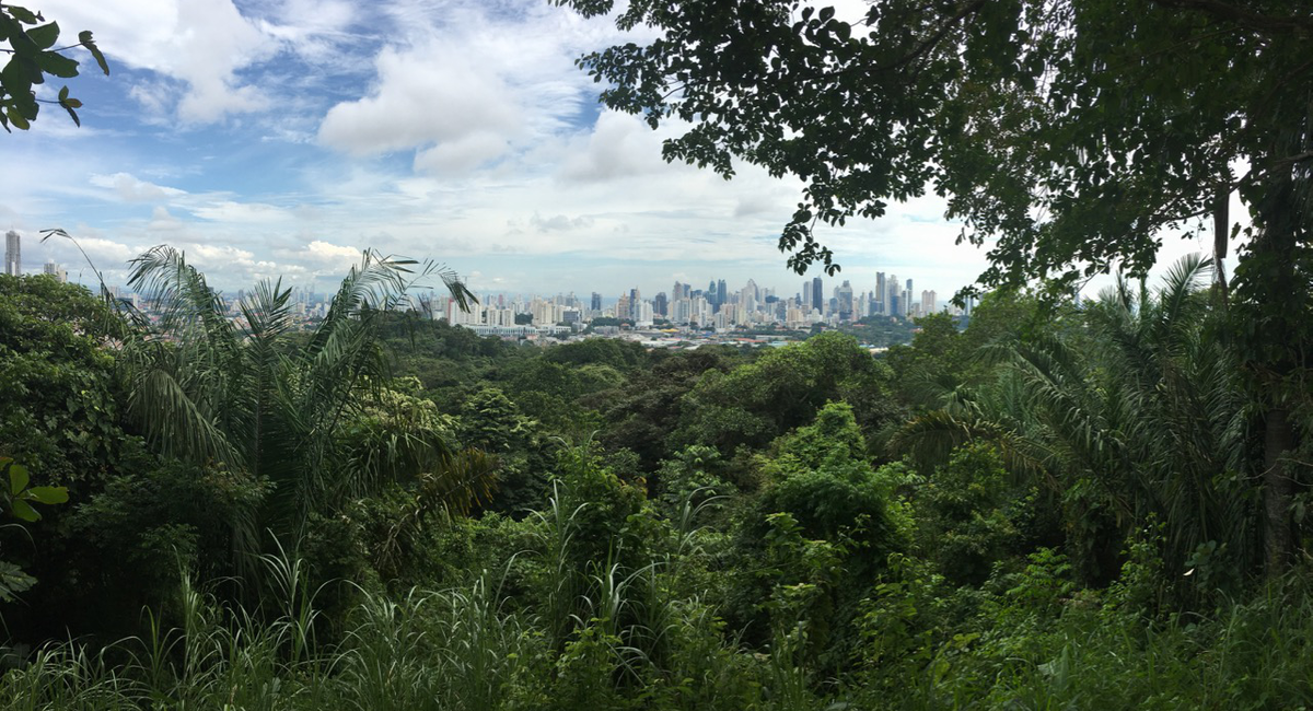 Panama City, Costa Rica, Honduras. Praktikus úti infók.