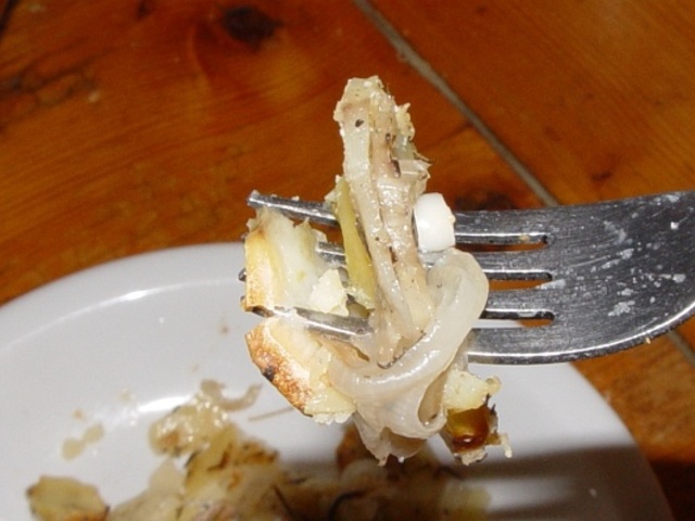 Burgonya gratin édesköménnyel