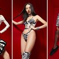 Dögösre sikeredett a Dolce & Gabbana Zebra kollekciója