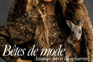 Gisele Bündchen bébi kenguruval buzdít az állatvédelemre a Vogue hasábjain!