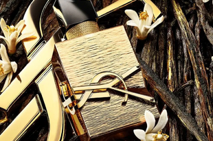 A legjobb ünnepi illatok, és limitált kiadások