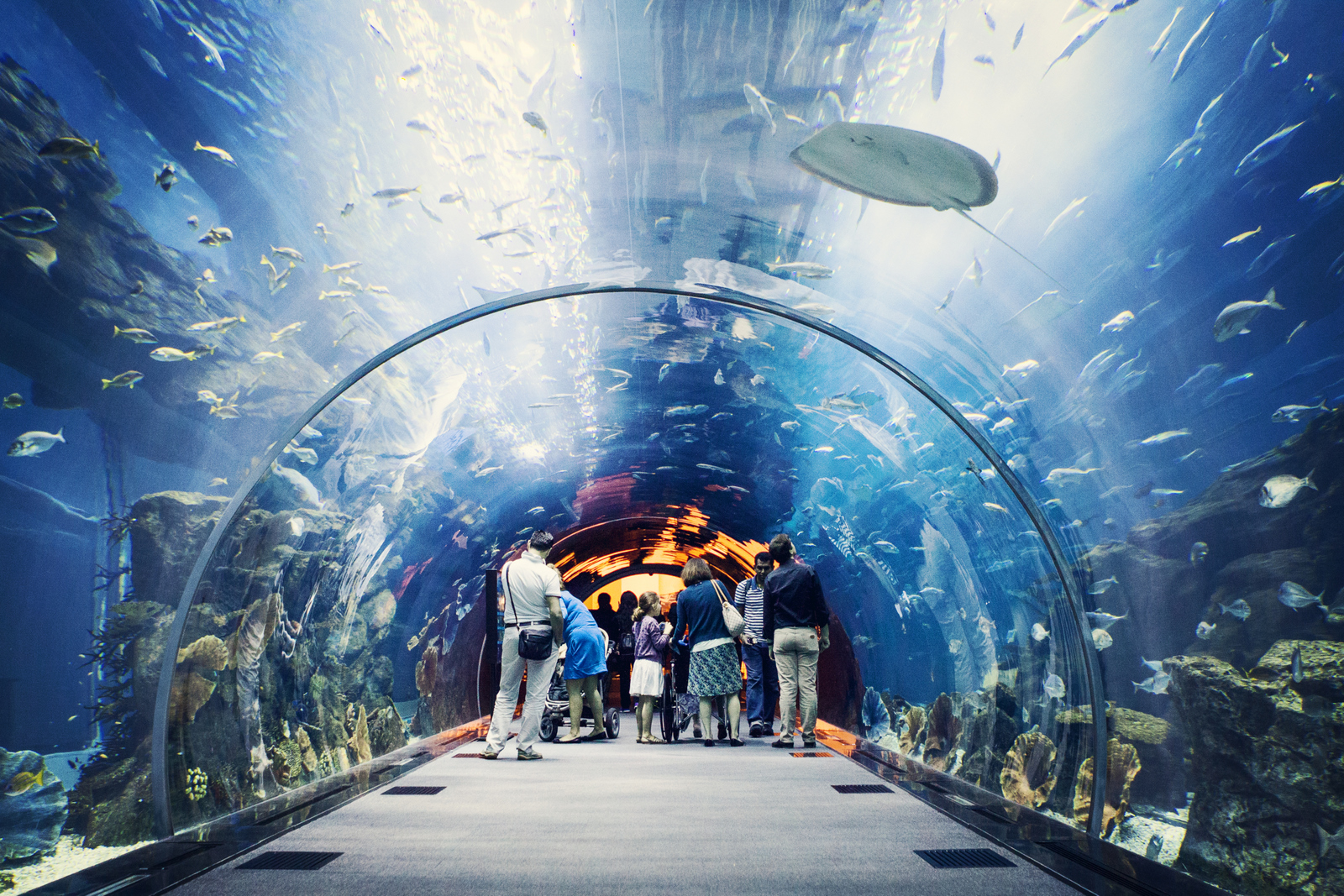 dubai-mall-aquarium.jpg