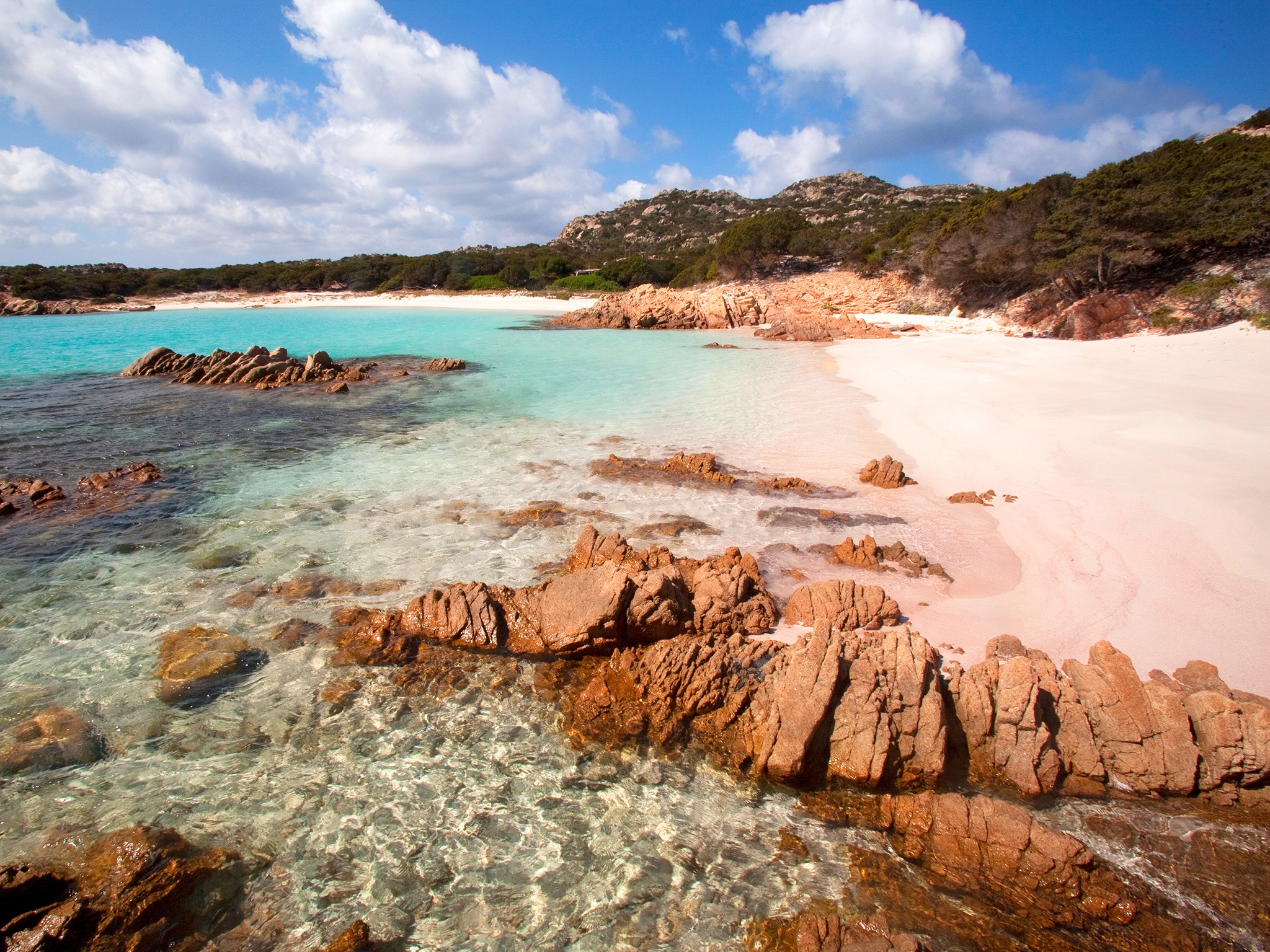 spiaggia-rosa-.jpg