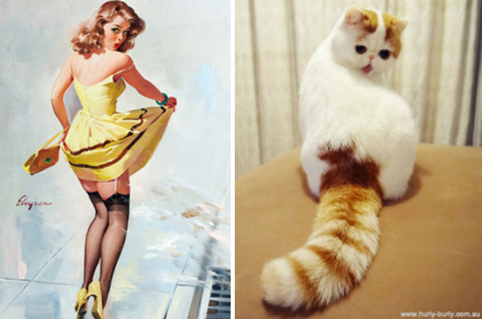 pinupcats_4.jpg