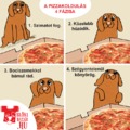 A pizzakoldulás 4 fázisa