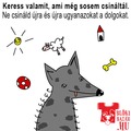 Keress valamit, amit még sosem csináltál!