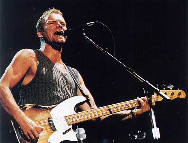 sting.jpg