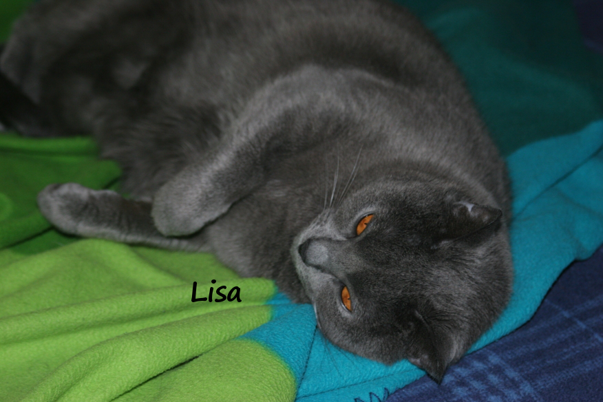 IMG_3402_Lisa.JPG