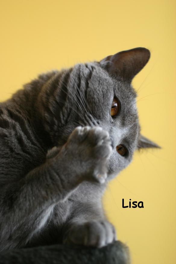 IMG_3633_Lisa.JPG