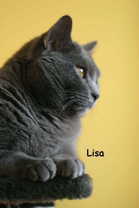 IMG_3645_Lisa.JPG