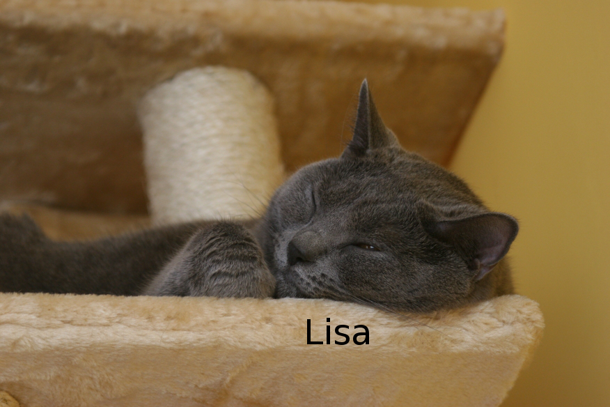 IMG_4651_Lisa.JPG