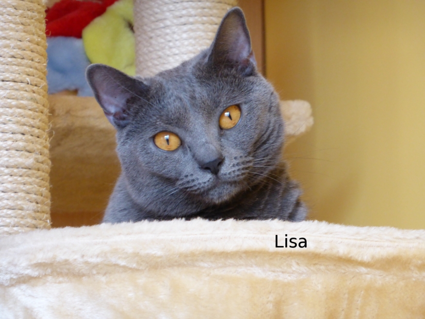 P1000033_Lisa.JPG