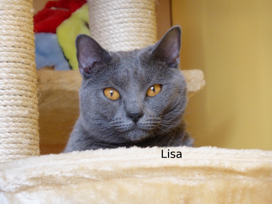 P1000042_Lisa.JPG