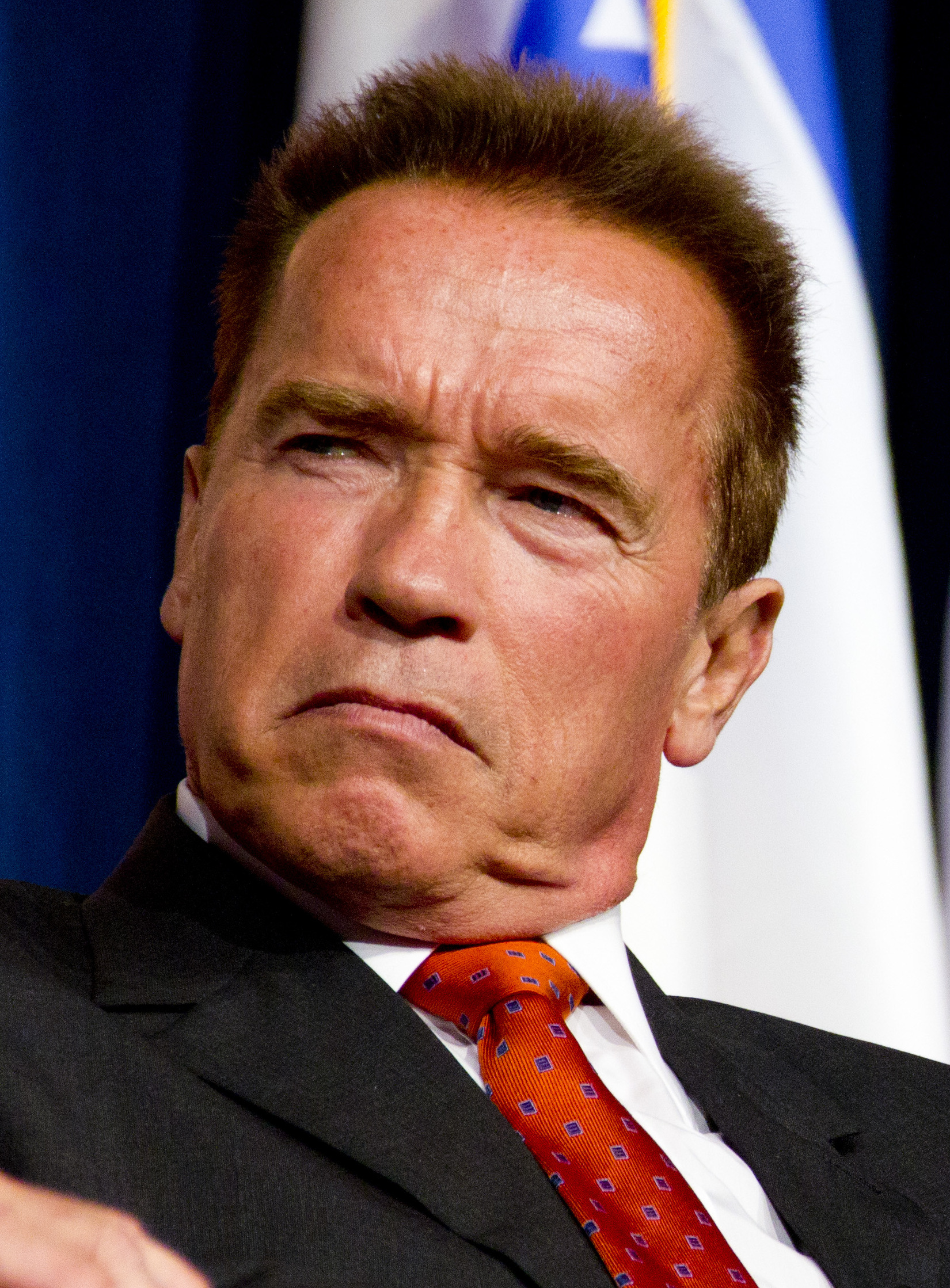 Arnold_Schwarzenegger_2,_2012.jpg