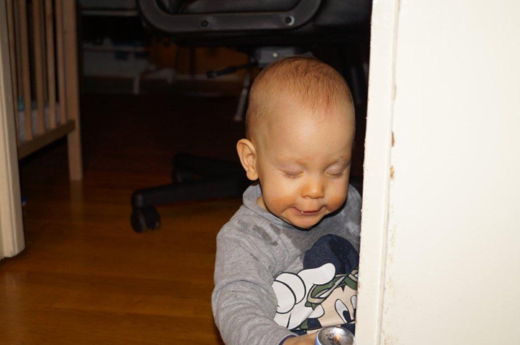 DSC03096.jpg