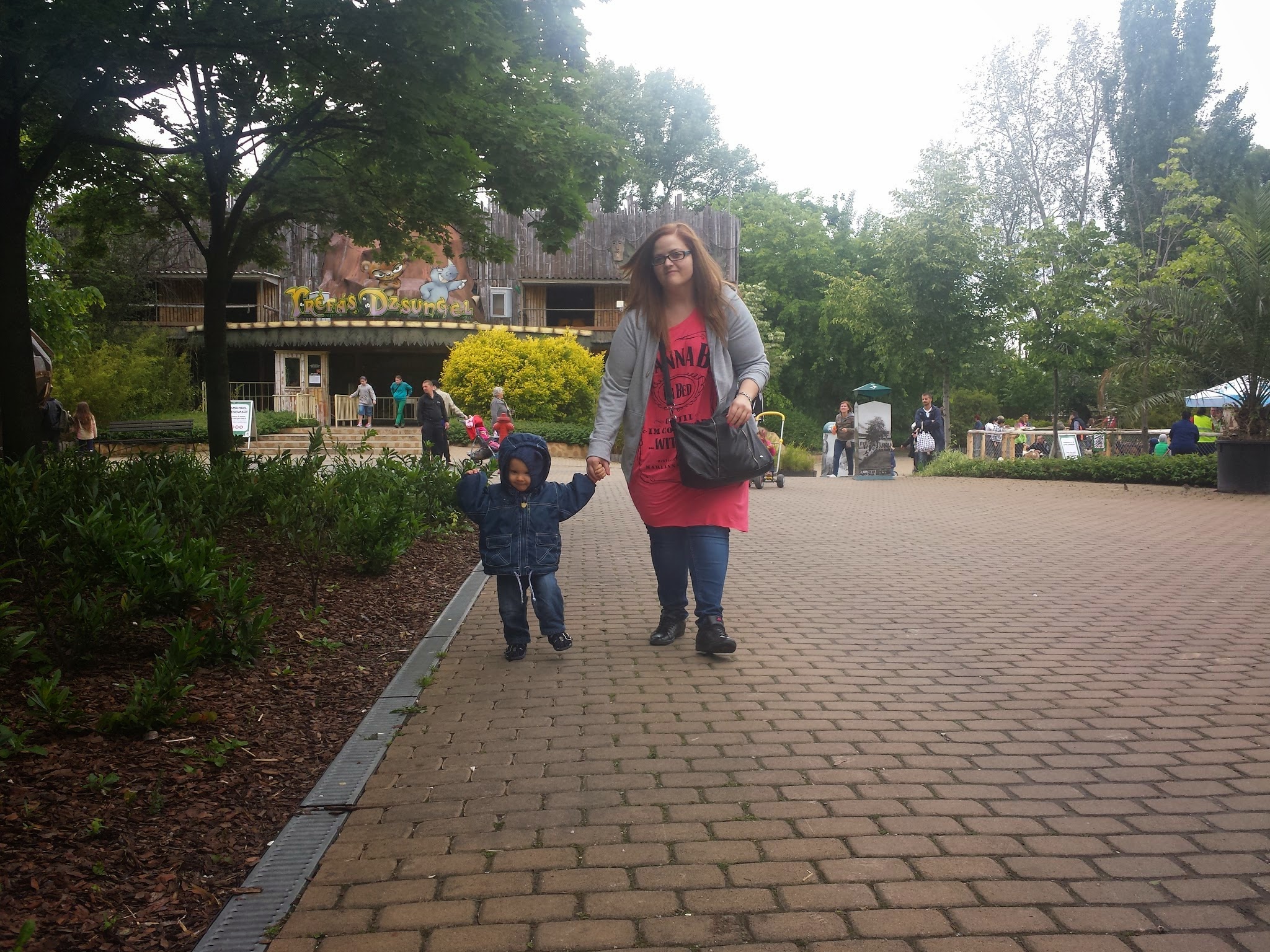 20140518_131354.jpg