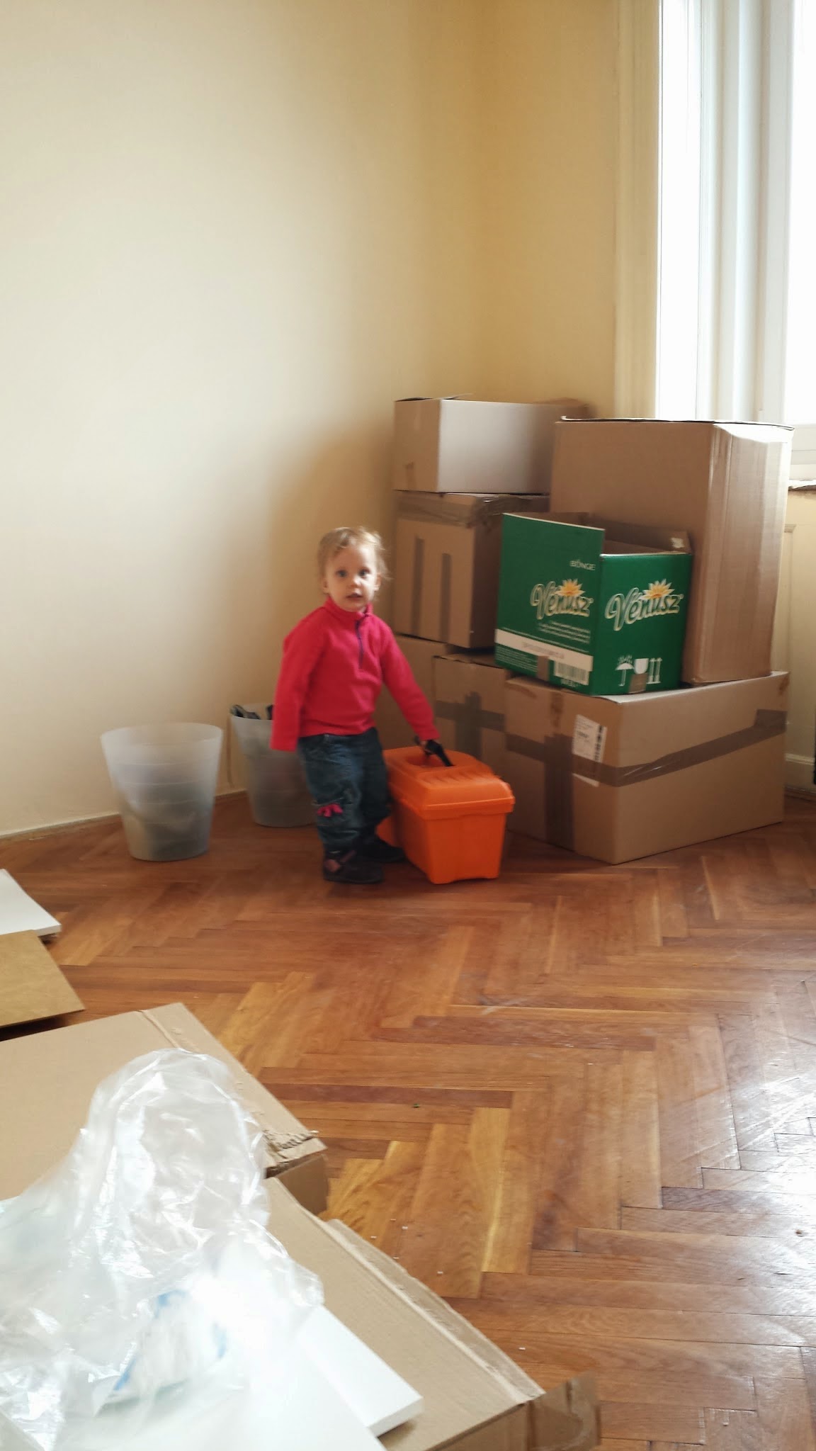 20141025_154537.jpg