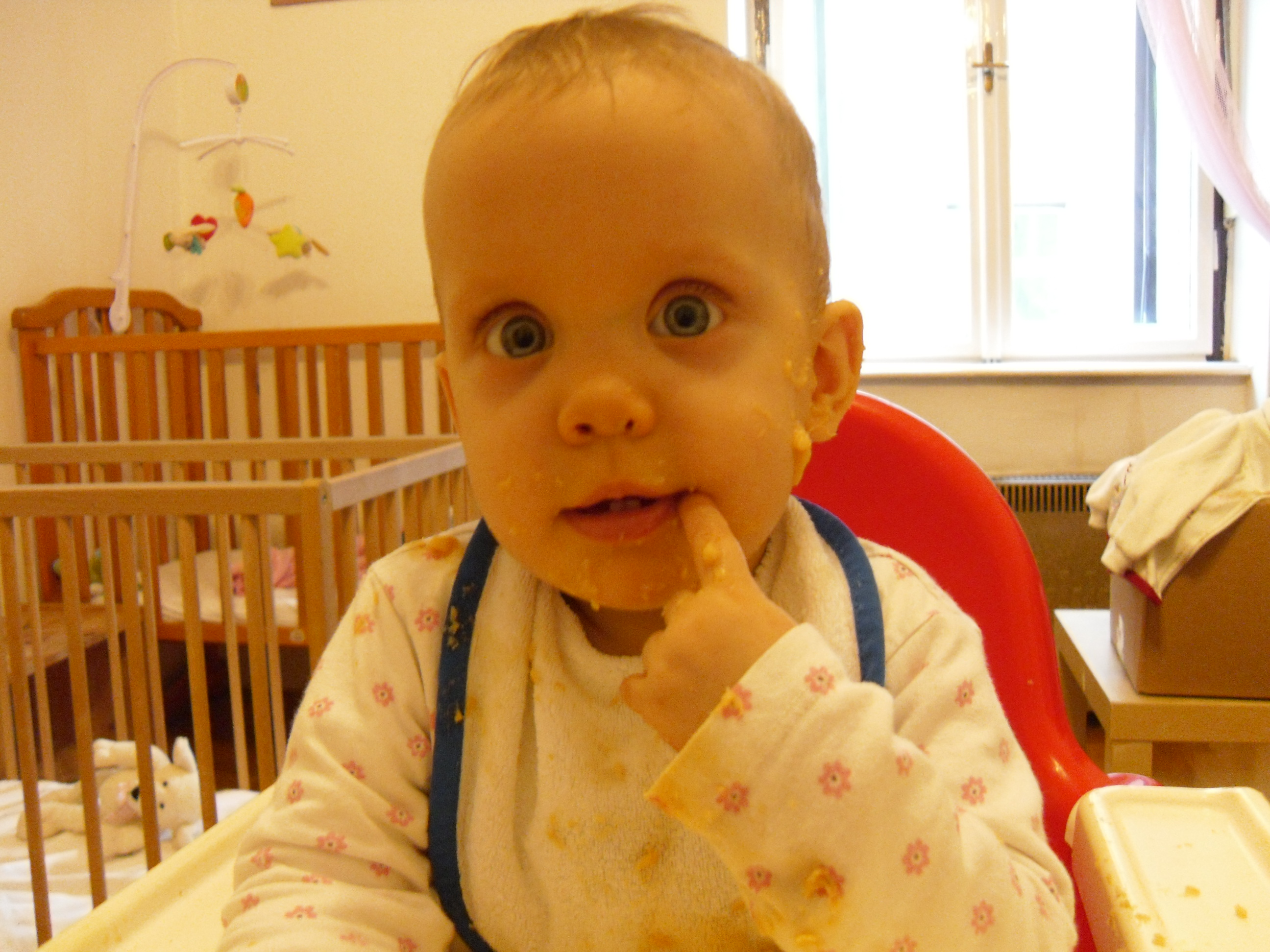 SAM_0089.JPG