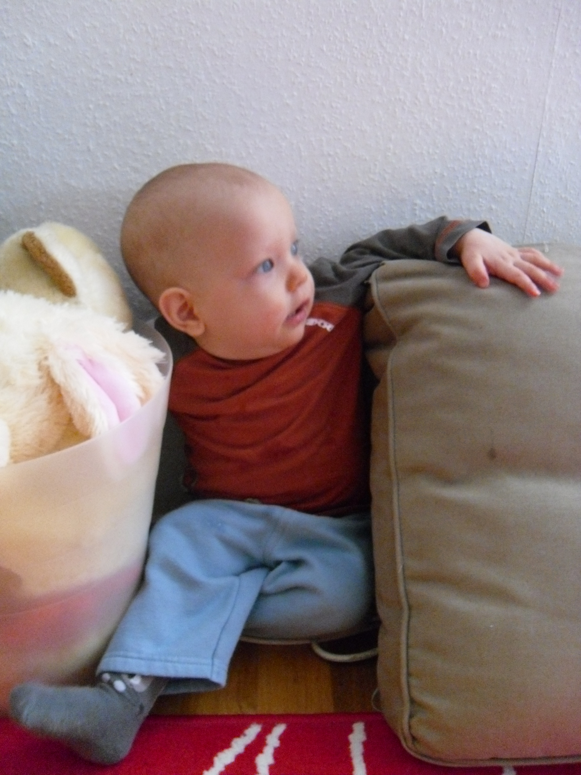 SAM_0114.JPG