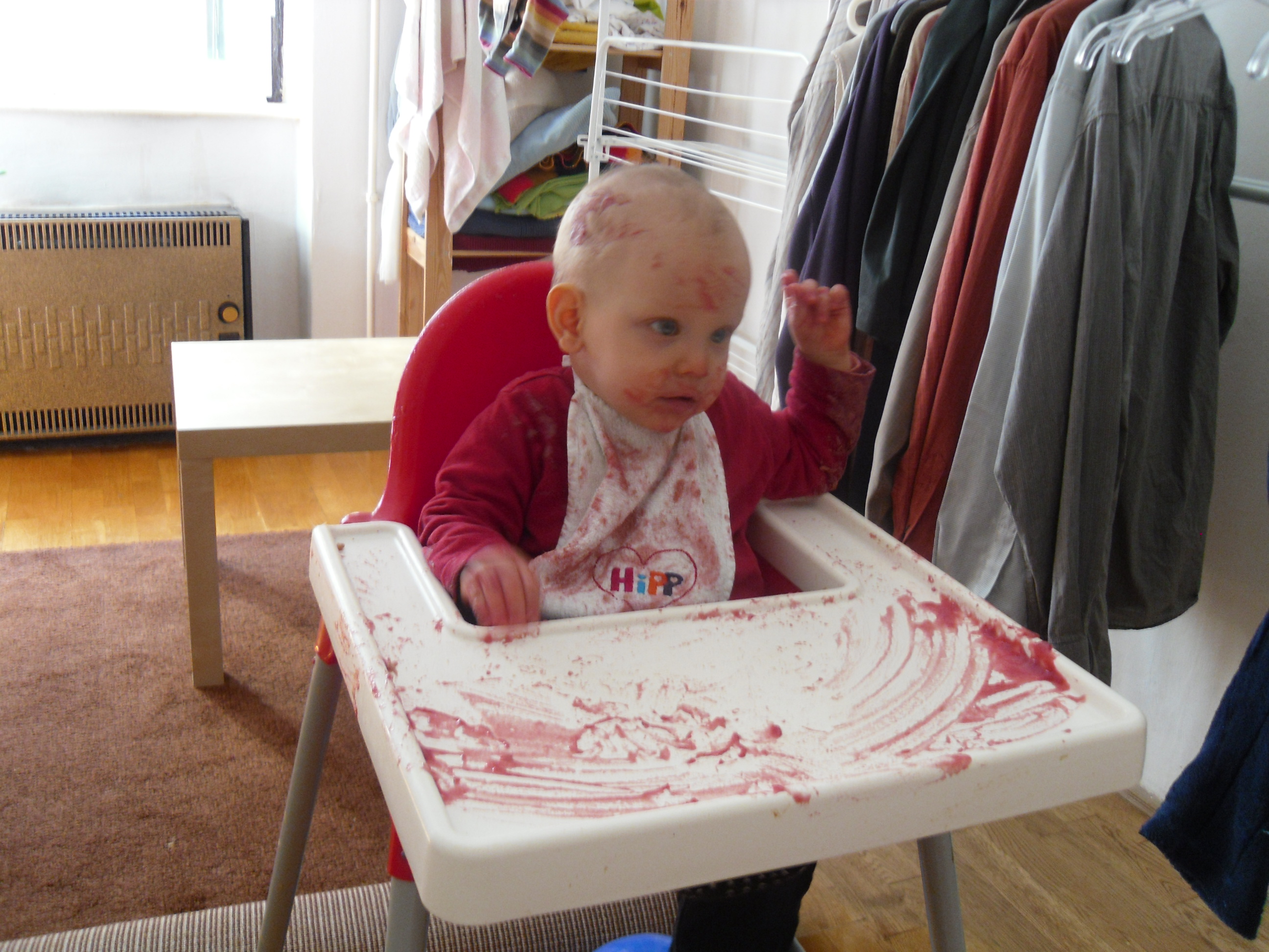 SAM_0339.JPG