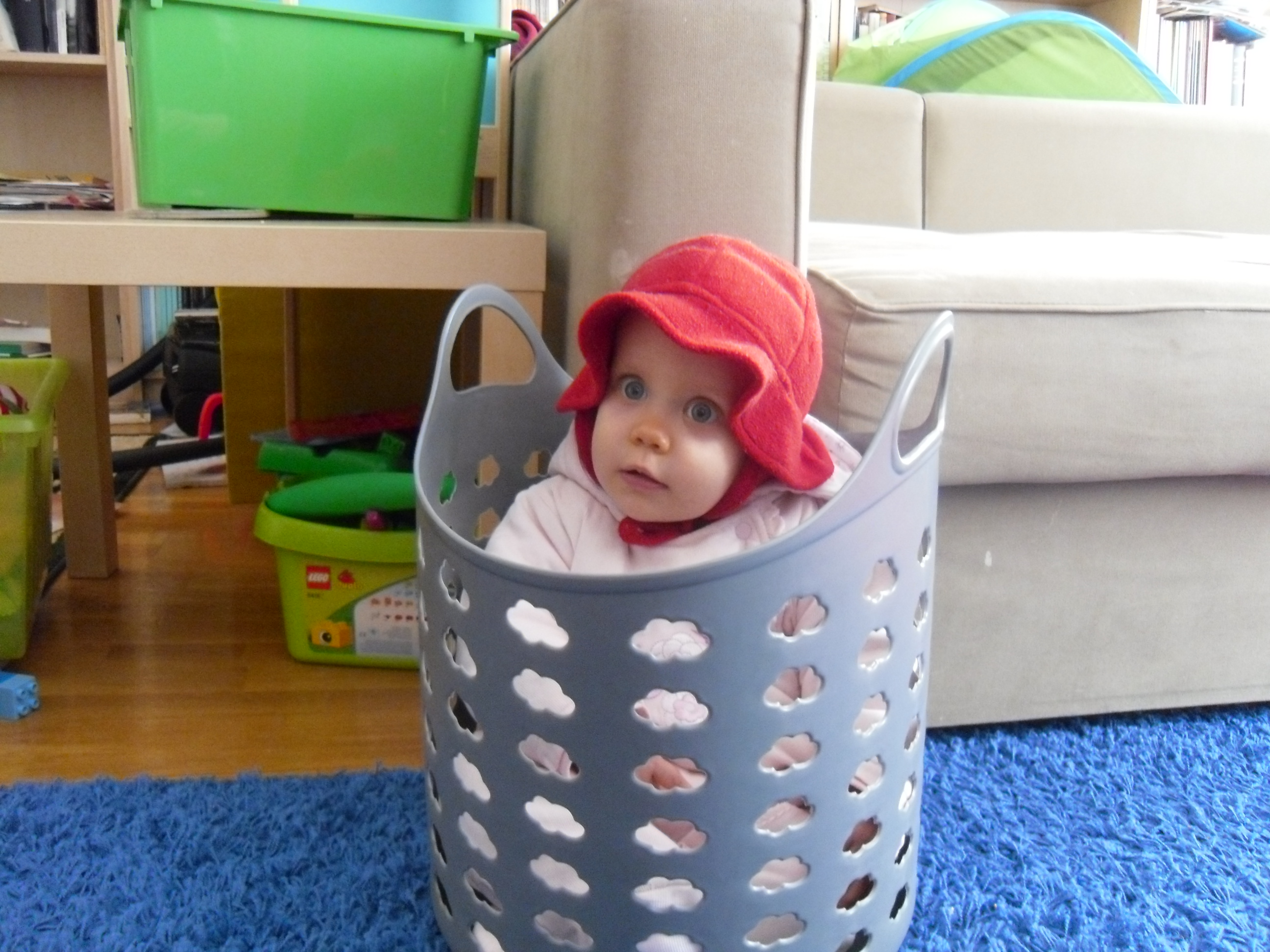 SAM_0389.JPG