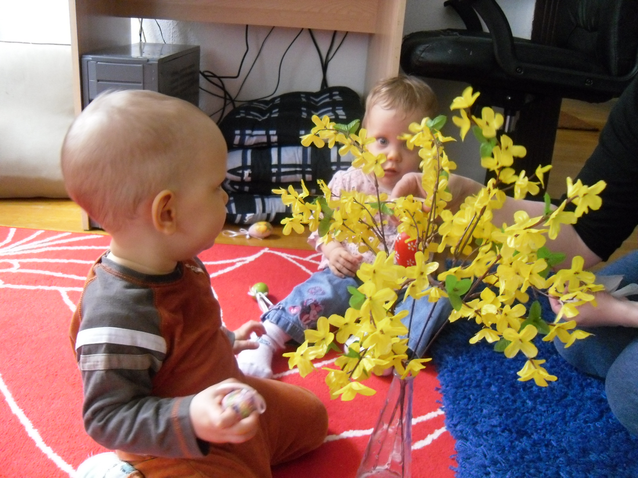 SAM_0417.JPG