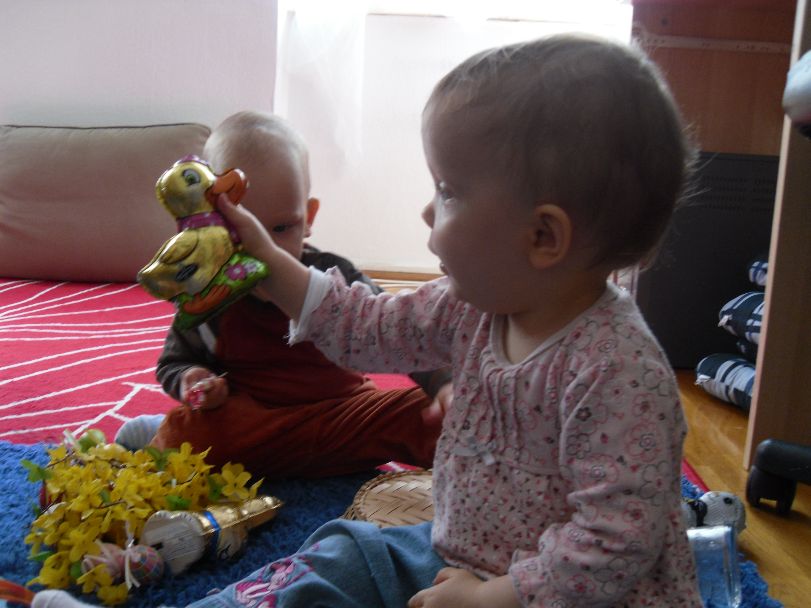 SAM_0432.JPG