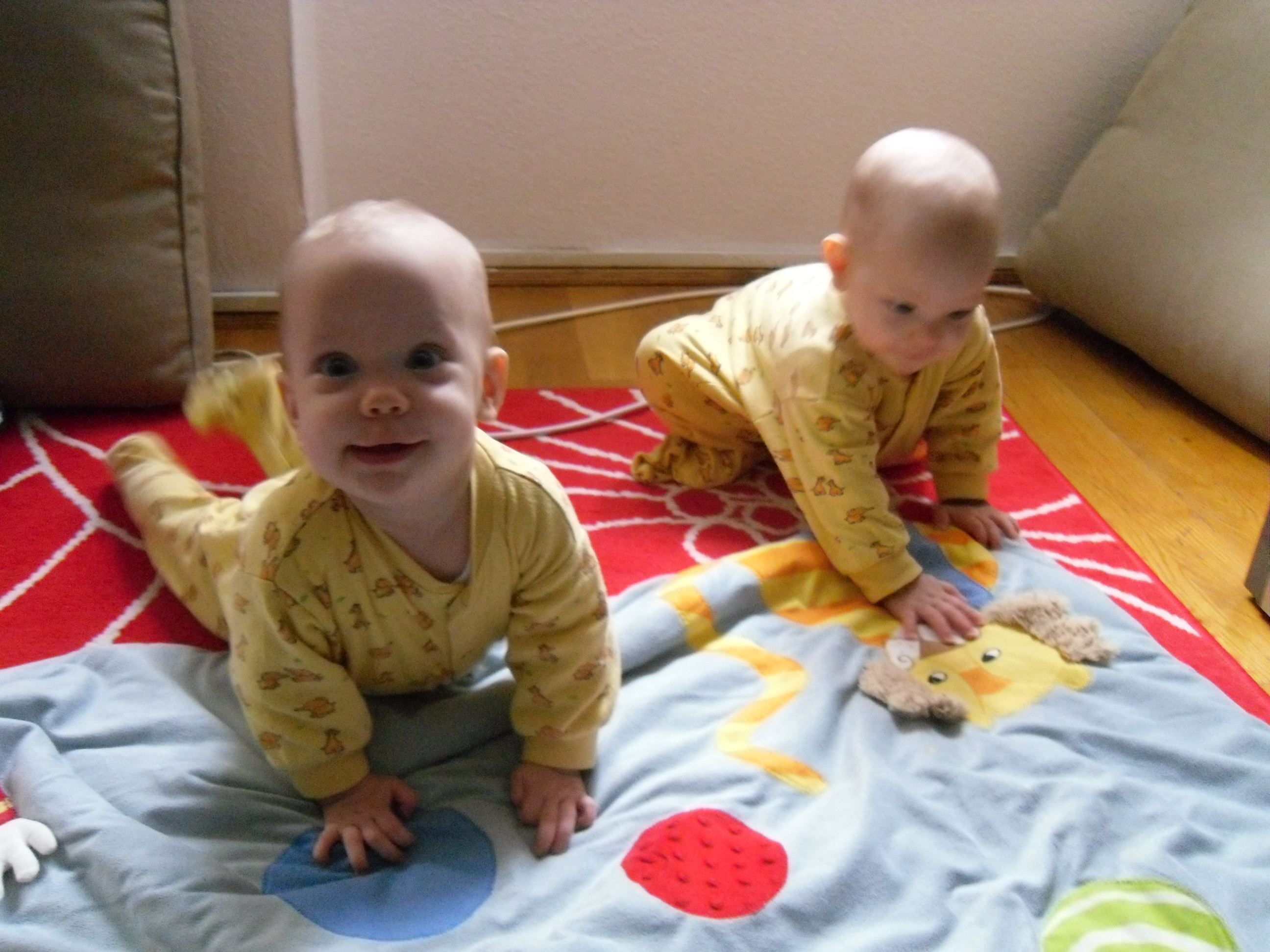 SAM_0515.JPG