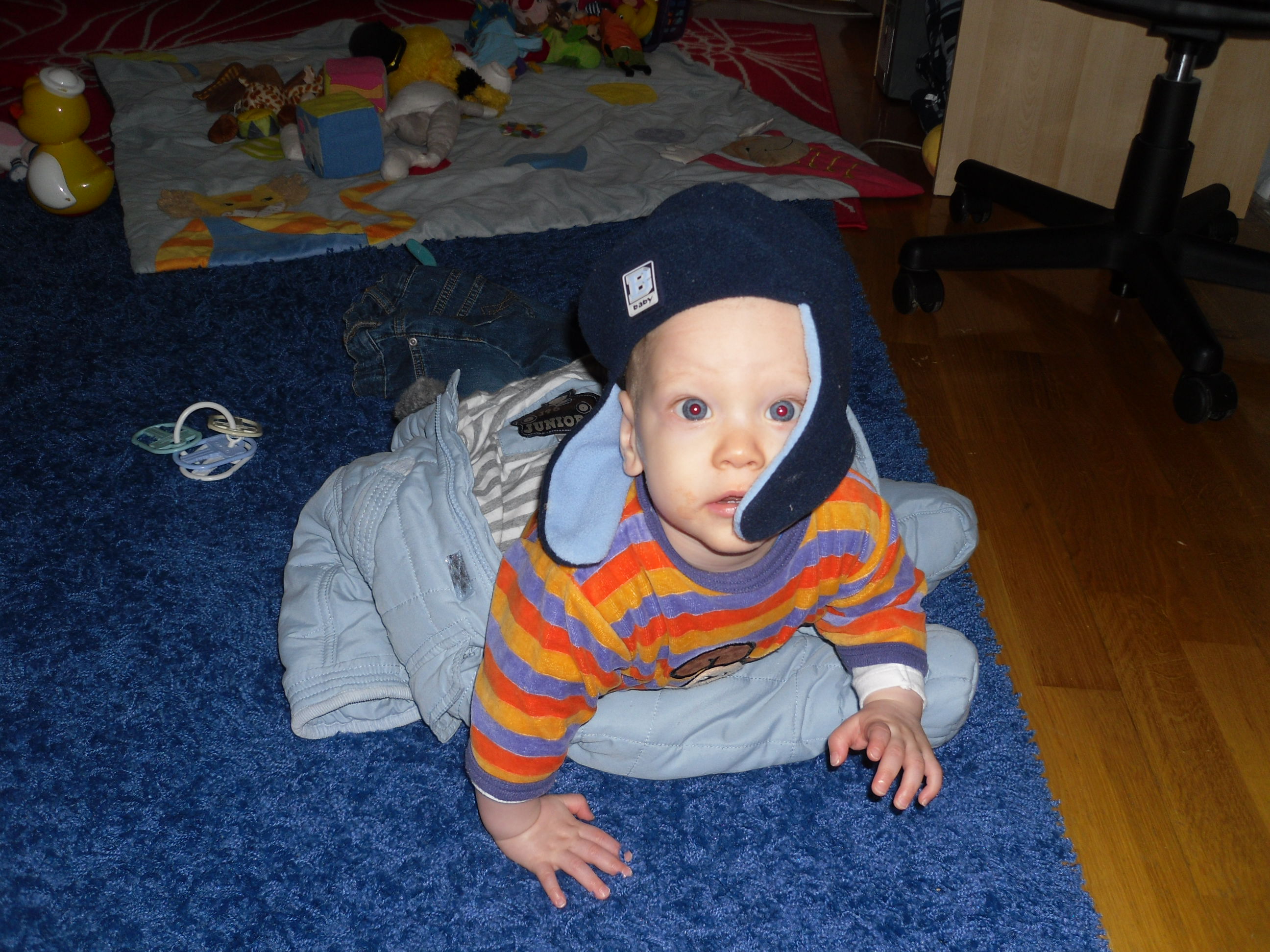 SAM_0555.JPG